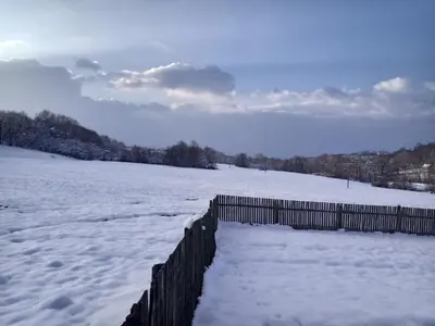 a fence in a snow covered field with trees at Kosmaj Casa Maia in Dučina