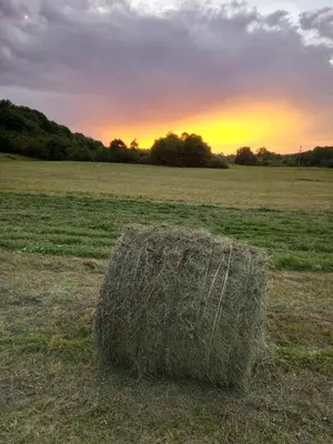 a stack of hay in a field at sunset at Kosmaj Casa Maia in Dučina