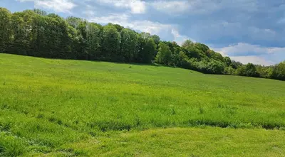 a field of green grass with trees in the background at Kosmaj Casa Maia in Dučina
