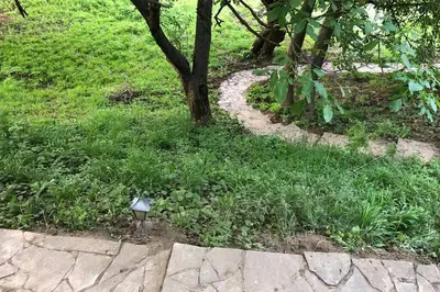 a light in the grass next to a tree at Villa Kornelija in Stari Slankamen