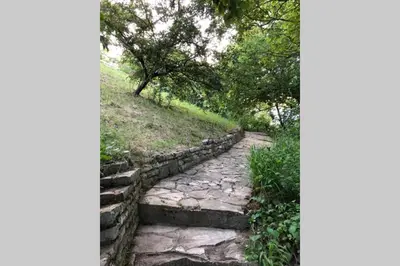 a stone path leading up a hill with trees at Villa Kornelija in Stari Slankamen
