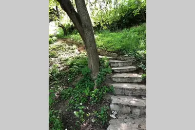a set of stone steps leading up to a tree at Villa Kornelija in Stari Slankamen