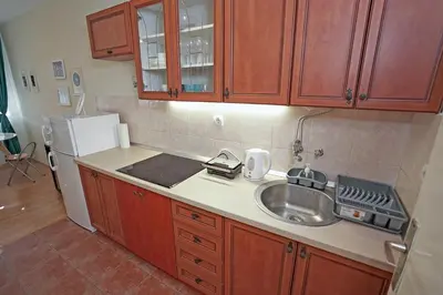 a small kitchen with a sink and a refrigerator at Apartment Elvis in Tošin Bunar