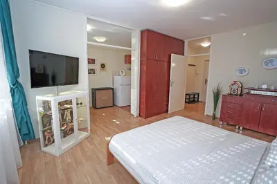 a bedroom with a bed and a flat screen tv at Apartment Elvis in Tošin Bunar