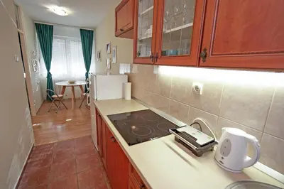 a kitchen with a sink and a stove top at Apartment Elvis in Tošin Bunar