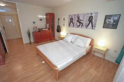 a bedroom with a bed in a room at Apartment Elvis in Tošin Bunar