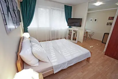 a bedroom with a bed and a television in it at Apartment Elvis in Tošin Bunar