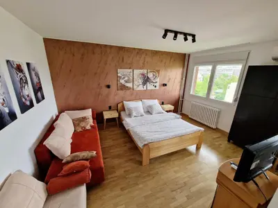 a living room with a couch and a tv at Apartment Nena in Tošin Bunar