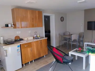 a kitchen with a refrigerator and a table at Apartman Talija in Arandjelovac
