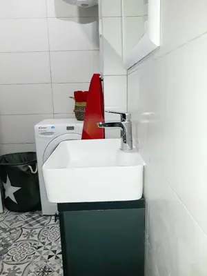 a bathroom with a sink and a washing machine at BLUE DANUBE in Belgrade