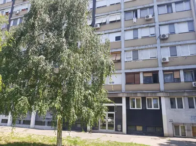 a tree in front of a tall building at BLUE DANUBE in Belgrade