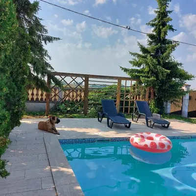 a dog laying next to two chairs and a pool at Kuća na dan Villa Holiday in Sakule