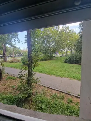 a window view of a park with a tree at Apartment Iskra in Belgrade