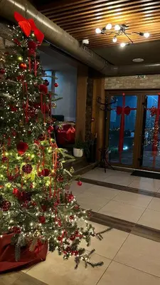 a christmas tree in a living room with at MV Monogram in Inđija