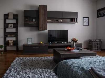 a living room with a television and a coffee table at GOFD Apartman in Belgrade