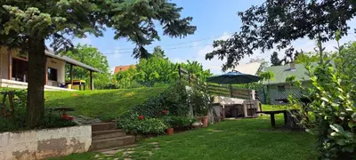 a garden with an umbrella in a yard at Hacienda Guster in Ritopek