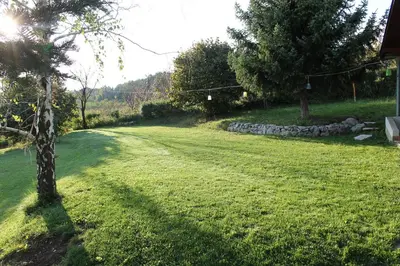 a field of grass with a tree and a stone wall at Hacienda Guster in Ritopek
