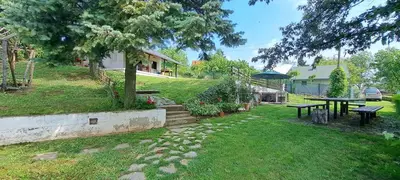 a yard with a picnic table and a tree at Hacienda Guster in Ritopek