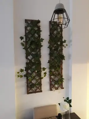 a wall with two ivy plants on it at Vilovski in Vračar (historical)