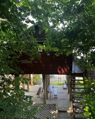 a tree house in the middle of a forest at Kuca i splav na reci Savi in Belgrade