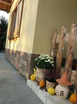 a group of pumpkins and flowers next to a building at Rita Apartman & Studio in Zrenjanin