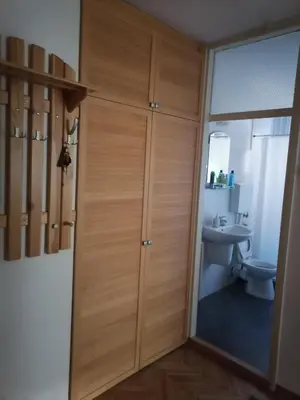 a bathroom with a toilet and a wooden door at Andreja apartman 2 (jednosobni app -50m2) in Belgrade