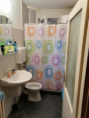 a bathroom with a toilet and a shower curtain at Andreja apartman 2 (jednosobni app -50m2) in Belgrade