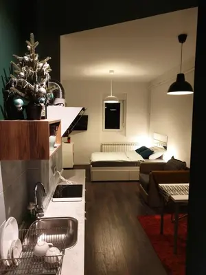 a living room with a kitchen and a bedroom at Studio Apartment 