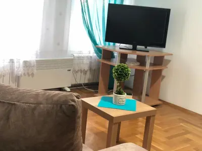 a living room with a tv and a table with a plant at BellaVista Apartmani in Stara Pazova
