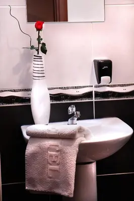 a bathroom with a white sink and a vase with a rose at Kengur Resort in Belgrade