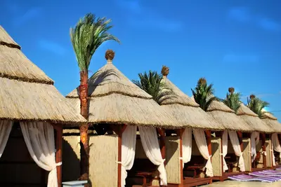 a row of huts with thatched roofs and palm trees at Kengur Resort in Belgrade