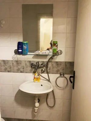 a bathroom with a sink and a mirror at Retro Mini Apartment in Zemun