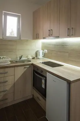 a kitchen with a sink and a stove top oven at APARTMAN TEA in Belgrade