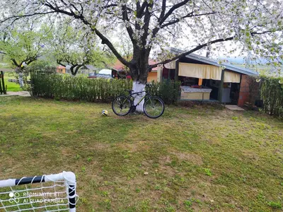 a bike parked next to a tree in a yard at Dečiji vinogradi Belgrade, Sopot, Kosmaj in Sopot