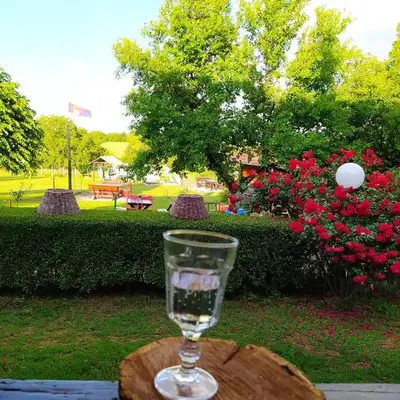 Dečiji vinogradi Belgrade