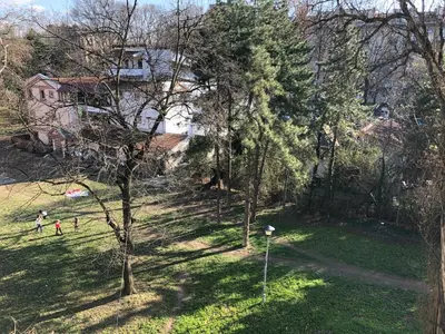 a group of people playing in a yard with trees at Modern Studio (Institut Majka i Dete) in Belgrade