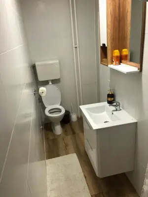 a white bathroom with a toilet and a sink at Modern Studio (Institut Majka i Dete) in Belgrade