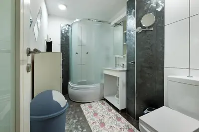 a bathroom with a shower and a toilet and a sink at Sava SQUARE Apartment in Belgrade