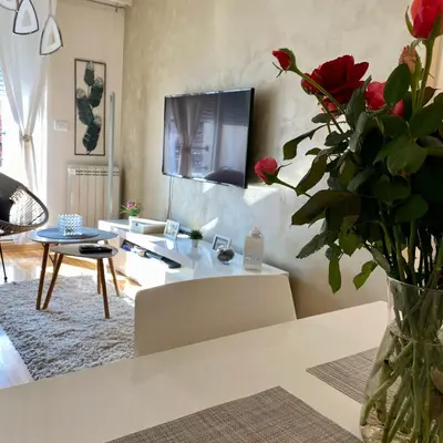 a living room with a vase of roses and a tv at Marco’s home in Vračar (historical)