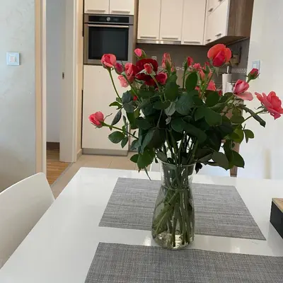 a vase of red roses sitting on a kitchen table at Marco’s home in Vračar (historical)