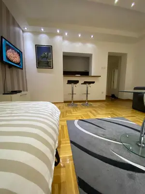a living room with a bed and a table in a room at Cika Ljuba in Belgrade