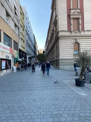 a group of people walking down a city street at Cika Ljuba in Belgrade