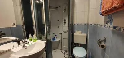 a bathroom with a toilet and a sink and a shower at Julija 2 in Pančevo