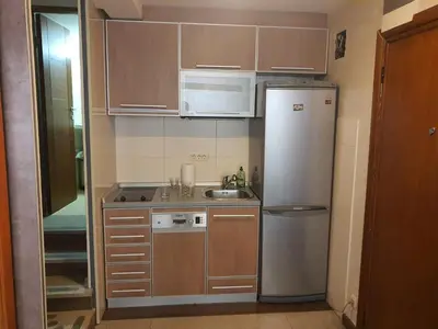 a small kitchen with a refrigerator and a sink at Tennis studio in Belgrade
