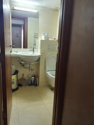 a bathroom with a sink and a toilet and a mirror at Tennis studio in Belgrade