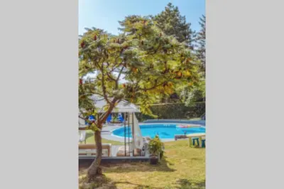 a pool with a tree and a gazebo at Villa Danube , 25 min from Belgrade, 20 min Airport, Private Pool & Sauna in Novi Banovci