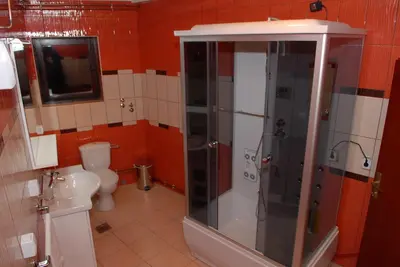 a bathroom with a shower and a toilet at Villa Atina in Stara Pazova