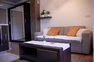 a living room with a couch and a coffee table at Apartman ANN in Pančevo