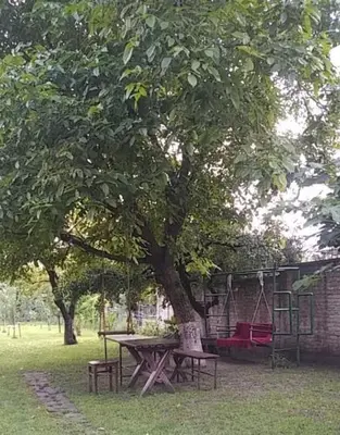 a picnic table under a tree in a park at Dvoriste Danguba in Nova Pazova