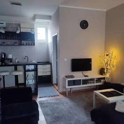 a living room with a kitchen and a tv on a counter at Dvoriste Danguba in Nova Pazova